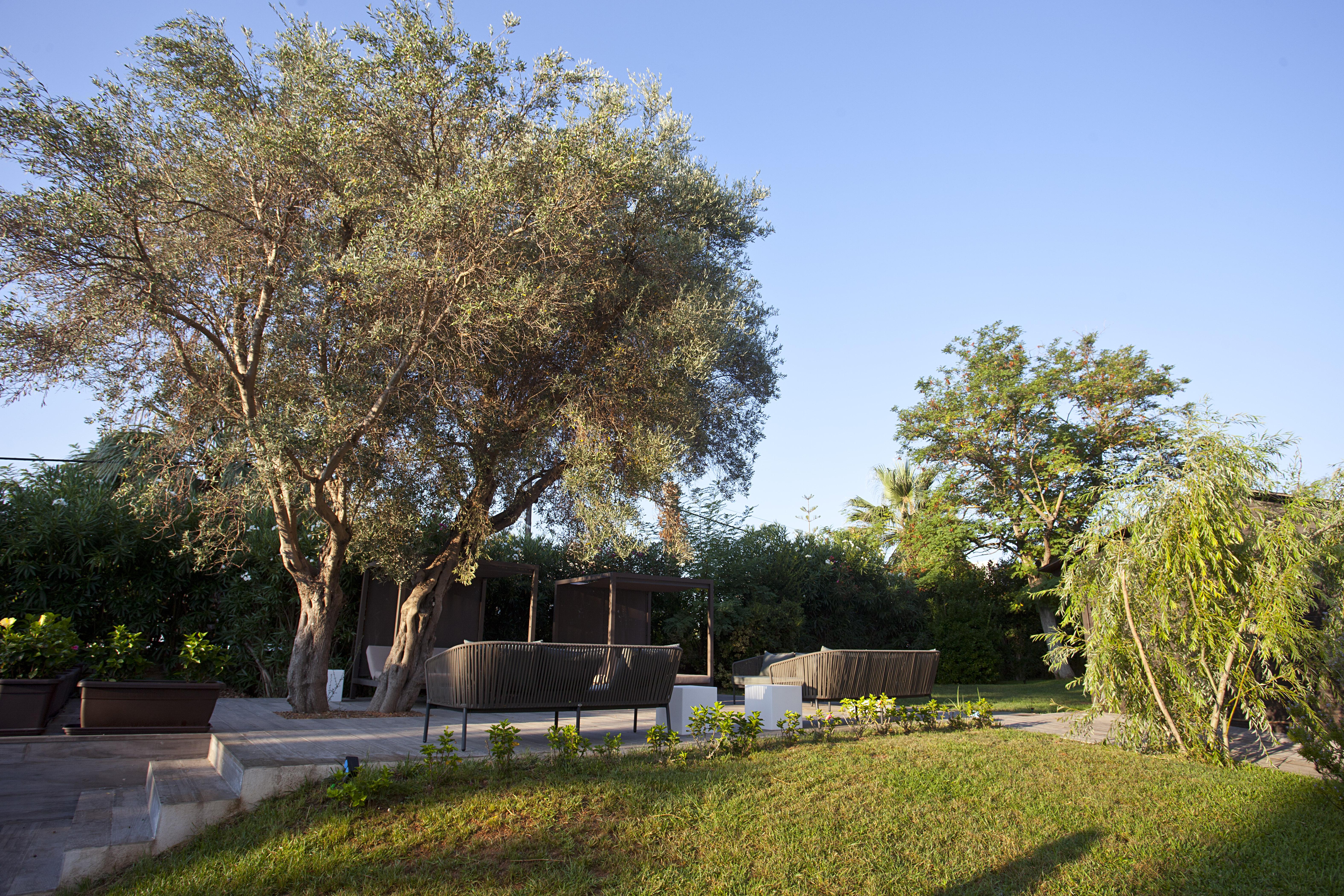 Hotel Bahia Pollensa Port de Pollença Kültér fotó